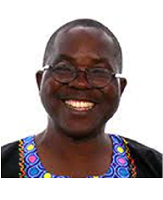 image of Prof. Oladele  Akogun